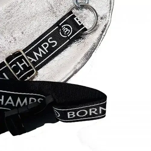 Dámská ledvinka - stříbrná