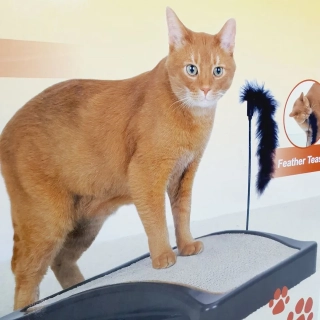 Škrabadlo pro kočky s hračkou ve tvaru „Most“ (44 x 34 cm)